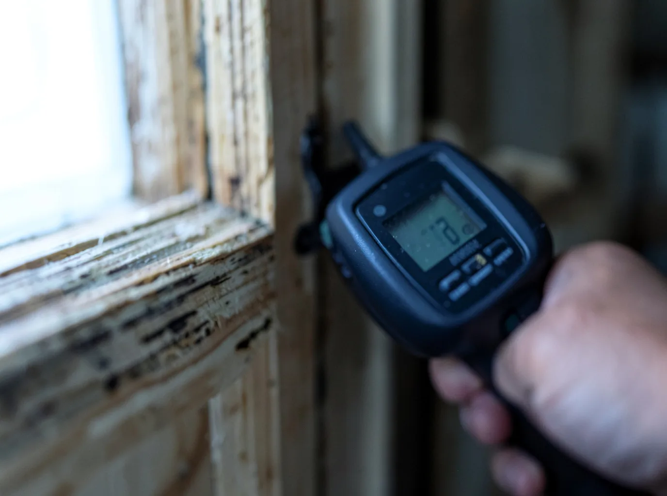 Moisture Inspection And Documentation in Willseyville, NY